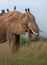 Digital Product Passport | Save The Duck