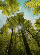 Sustainability Reports | Save The Duck