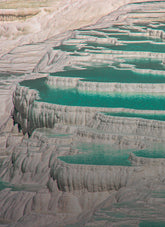 Taking Climate Action | Save The Duck