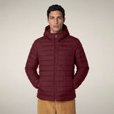 Men's Puffer Jacket Juncus in Wine Red | Save The Duck