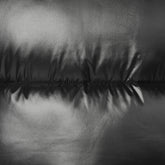 PIUMINO ANIMAL FREE CON CAPPUCCIO DONNA ISABEL RAINY BEIGE | Save The Duck