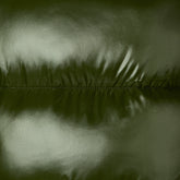 PIUMINO ANIMAL FREE CON CAPPUCCIO DONNA ISABEL RAINY BEIGE | Save The Duck