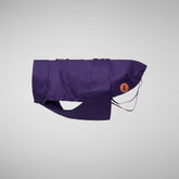 Dog coat Tex in deep purple - Rex | Save The Duck