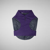 Dog coat Tex in deep purple - Rex | Save The Duck