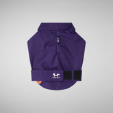 Hundemantel Tex in deep purple | Save The Duck