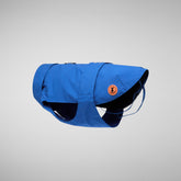 Dog coat Tex in snorkel blue - Rex | Save The Duck