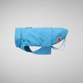 Dog coat Tex in prismic blue - Rex | Save The Duck