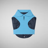 Dog coat Tex in prismic blue - Rex | Save The Duck