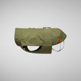 Cappotto per cani Rex green Grigio elefante | Save The Duck