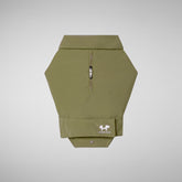 Cappotto per cani Rex green Grigio elefante | Save The Duck