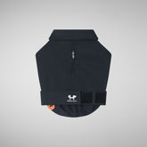 CAPPOTTO PER CANE REX NERO e Lining green | Save The Duck