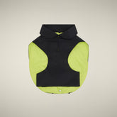 CAPPOTTO PER CANE REX NERO | Save The Duck