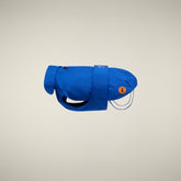 CAPPOTTO PER CANE REX BLU ELETTRICO | Save The Duck