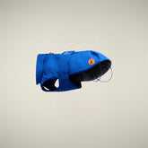 CAPPOTTO PER CANE REX BLU ELETTRICO | Save The Duck