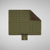 COVER UNISEX TEDDY COZY GRIGIO FANGO e verde oliva | Save The Duck