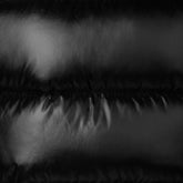 PIUMINO ANIMAL FREE BAMBINA CINI BIANCO | Save The Duck