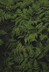 Come riparare un piumino | Save The Duck