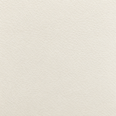 Men's Sneaker Gale in white | Save The Duck