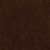 Men's Sneaker in dark brown | Save The Duck