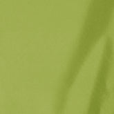 Men's Swim Shorts Demna in Citron Green - Men's Swimwear | Save The Duck