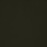 Men's Hooded Jacket Obione in Black | Save The Duck