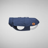 Rex dog coat in navy blue ombre blue - Save The Duck x United Pets | Save The Duck