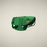 CAPPOTTO PER CANE REX VERDE FORESTA - Save The Duck x United Pets | Save The Duck