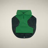 CAPPOTTO PER CANE REX VERDE FORESTA | Save The Duck
