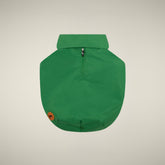 CAPPOTTO PER CANE REX VERDE FORESTA - Save The Duck x United Pets | Save The Duck