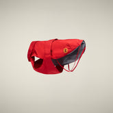 CAPPOTTO PER CANE REX ROSSO - Save The Duck x United Pets | Save The Duck