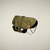CAPPOTTO PER CANE REX VERDE OLIVA - Save The Duck x United Pets | Save The Duck