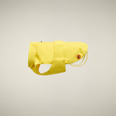 CAPPOTTO PER CANE REX GIALLO - Save The Duck x United Pets | Save The Duck