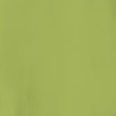 T-shirt bambini unisex Ashwine verde lime - Unisex Kids T-shirt & Sweatshirts | Save The Duck