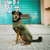 | Save The Duck | Piumini Eleganti Uomo e Donna Animal Free