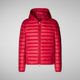 Man's animal free hooded puffer jacket Donald in tango red | Save The Duck