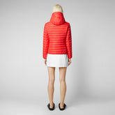 Woman's animal free puffer jacket Daisy in jack red | Save The Duck