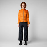 Woman's animal puffer Andreina in amber orange | Save The Duck