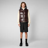 Man's quilted gilet Dexter in brown black - Gilet Man | Save The Duck