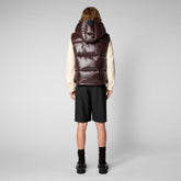 Man's quilted gilet Dexter in brown black - Sale | Save The Duck