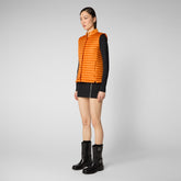 Woman's vest Aria in amber orange - Women's Gilet  | Save The Duck