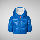 Babies' animal free hooded puffer jacket Jody in blue berry - Piumini Neonati Animal-Free | Save The Duck