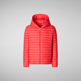Boys' animal-free puffer jacket Huey in jack red - Products | Save The Duck